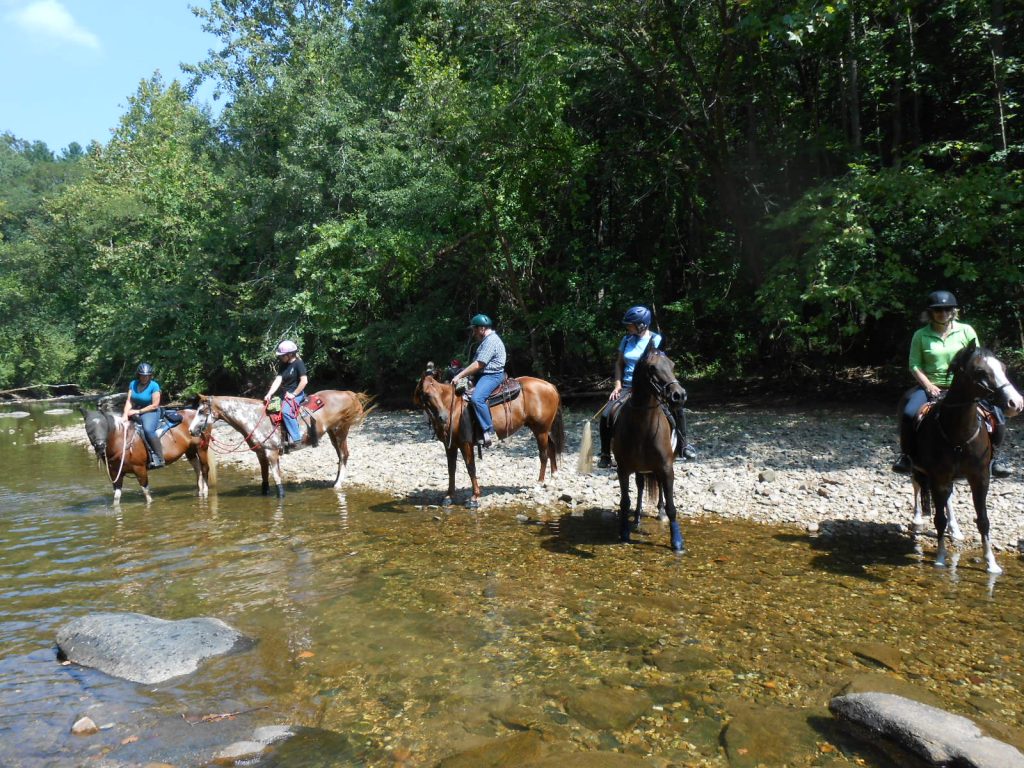 Gunpowder Falls State Park – Hereford – Trail Riders of Today (TROT)