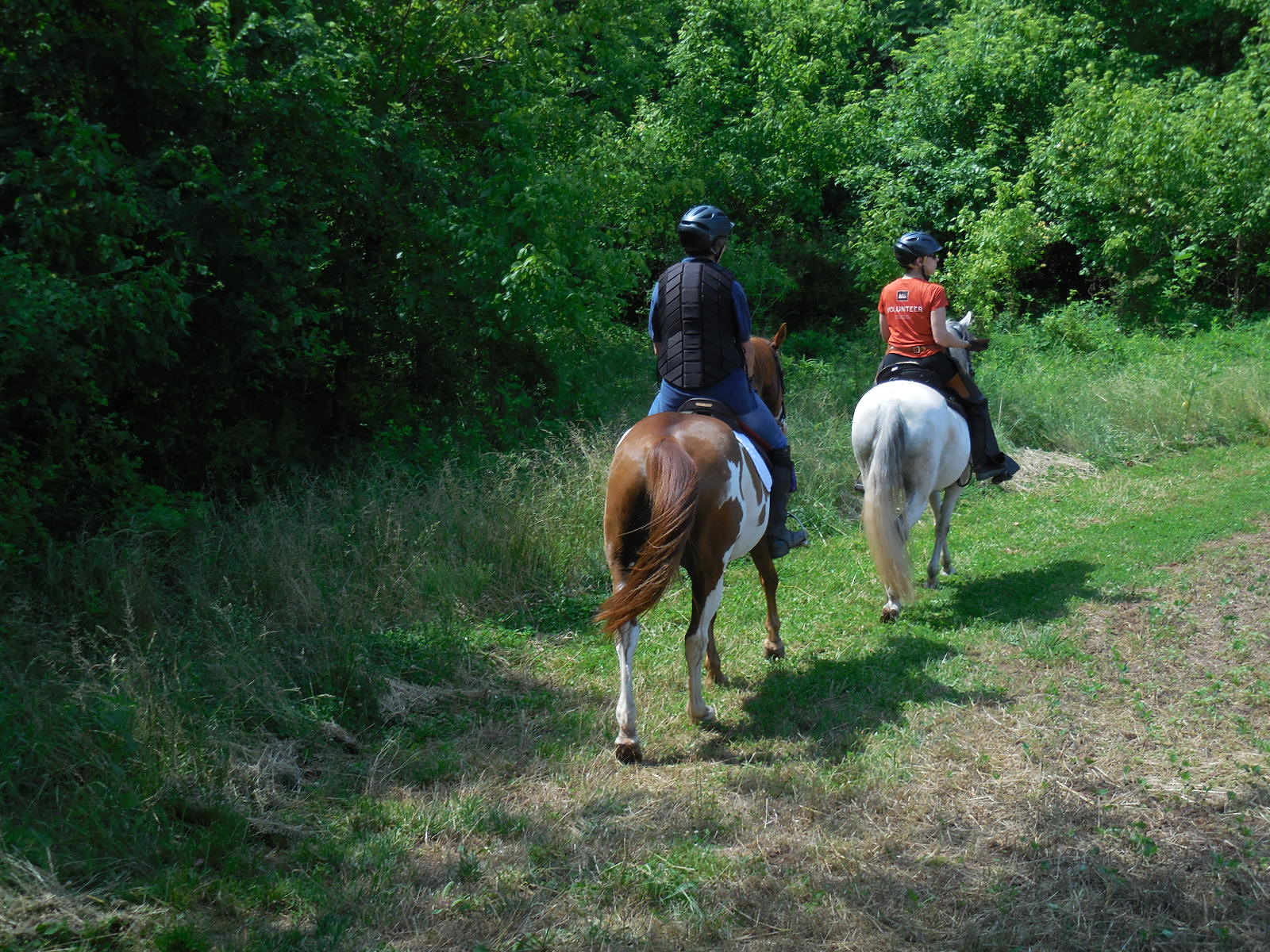 Woodstock Equestrian Park Trail Riders of Today (TROT)